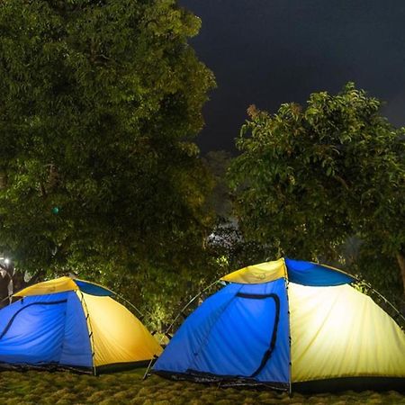 Dandeli Jungle Resort エクステリア 写真