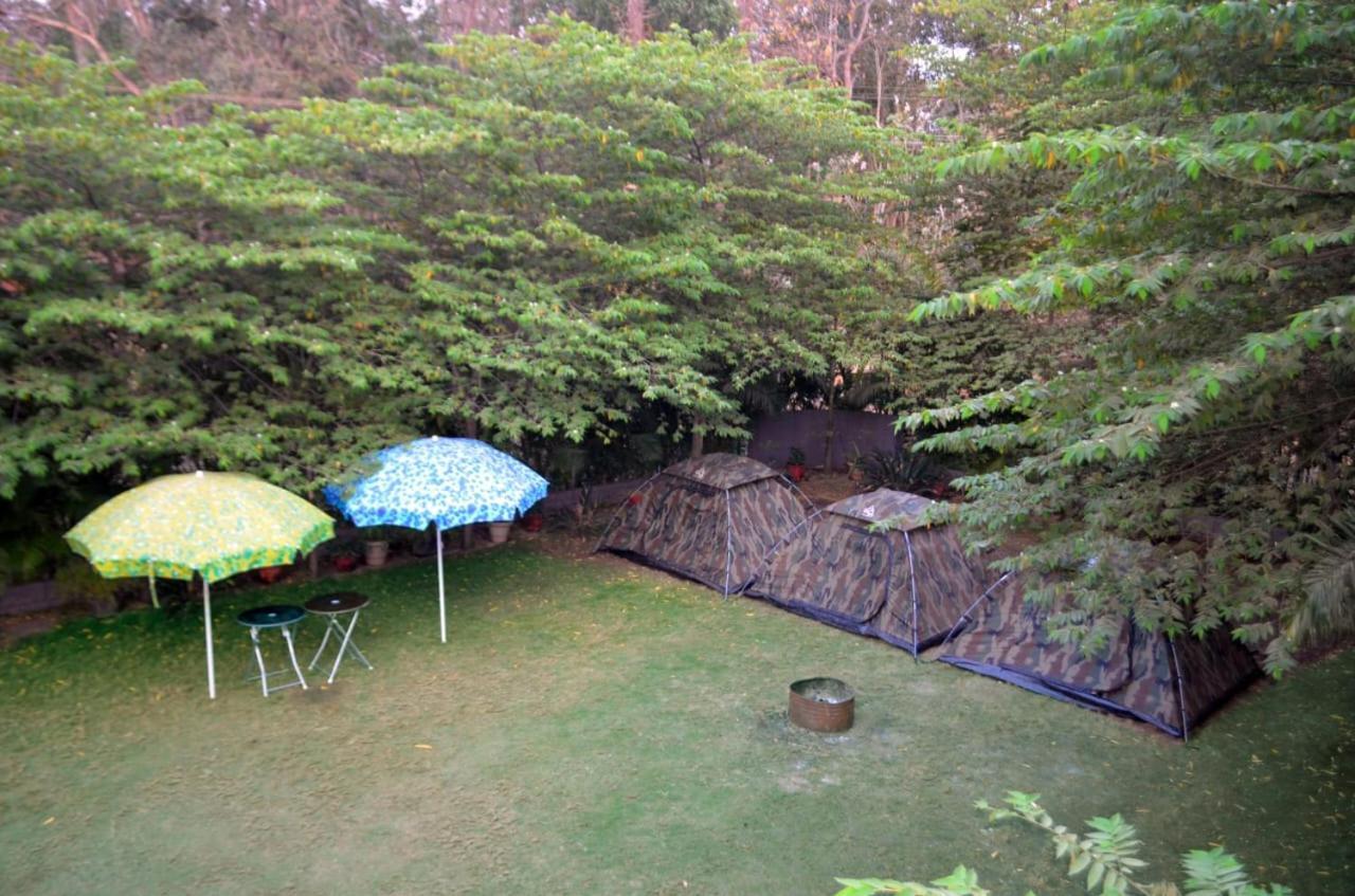 Dandeli Jungle Resort エクステリア 写真