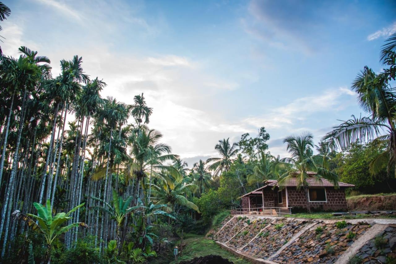 Dandeli Jungle Resort エクステリア 写真