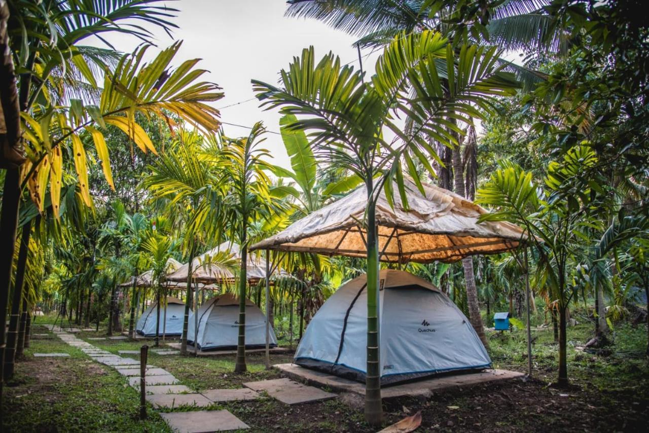 Dandeli Jungle Resort 部屋 写真
